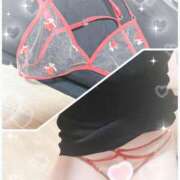 ヒメ日記 2025/01/13 10:19 投稿 三田りょうこ プランタン大塚