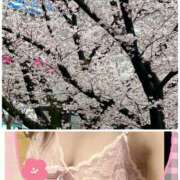 ヒメ日記 2025/03/29 09:45 投稿 三田りょうこ プランタン大塚