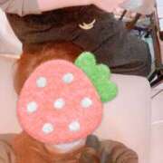 ヒメ日記 2025/06/06 07:20 投稿 三田りょうこ プランタン大塚