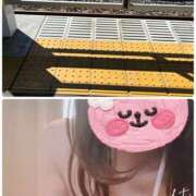 ヒメ日記 2025/07/29 08:47 投稿 三田りょうこ プランタン大塚