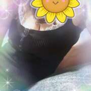 ヒメ日記 2025/08/11 09:00 投稿 三田りょうこ プランタン大塚