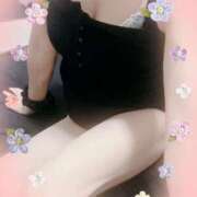 ヒメ日記 2025/08/21 08:51 投稿 三田りょうこ プランタン大塚