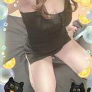 ヒメ日記 2025/11/20 20:40 投稿 三田りょうこ プランタン大塚