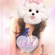 ヒメ日記 2026/04/12 05:03 投稿 三田りょうこ プランタン大塚