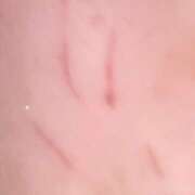 ヒメ日記 2025/02/18 21:39 投稿 まお 神田エマニエル