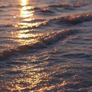 ヒメ日記 2025/08/01 22:53 投稿 まお 神田エマニエル