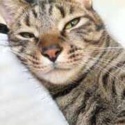 ヒメ日記 2025/02/02 08:40 投稿 しずか 逆電車ごっこ ～GLAMOROUS TRAIN～