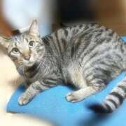 ヒメ日記 2025/02/09 19:58 投稿 しずか 逆電車ごっこ ～GLAMOROUS TRAIN～