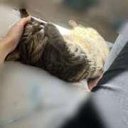 ヒメ日記 2025/02/15 08:20 投稿 しずか 逆電車ごっこ ～GLAMOROUS TRAIN～