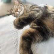 ヒメ日記 2025/03/12 09:10 投稿 しずか 逆電車ごっこ ～GLAMOROUS TRAIN～