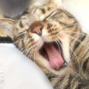 ヒメ日記 2025/03/19 10:20 投稿 しずか 逆電車ごっこ ～GLAMOROUS TRAIN～