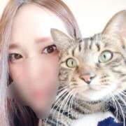 ヒメ日記 2025/03/29 19:53 投稿 しずか 逆電車ごっこ ～GLAMOROUS TRAIN～