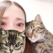 ヒメ日記 2025/04/13 17:50 投稿 しずか 逆電車ごっこ ～GLAMOROUS TRAIN～