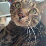 ヒメ日記 2025/05/03 17:40 投稿 しずか 逆電車ごっこ ～GLAMOROUS TRAIN～