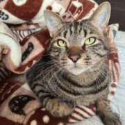 ヒメ日記 2025/06/01 01:14 投稿 しずか 逆電車ごっこ ～GLAMOROUS TRAIN～