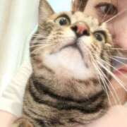 ヒメ日記 2025/06/10 17:10 投稿 しずか 逆電車ごっこ ～GLAMOROUS TRAIN～