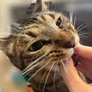 ヒメ日記 2025/09/26 10:00 投稿 しずか 逆電車ごっこ ～GLAMOROUS TRAIN～