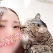 ヒメ日記 2025/11/15 12:20 投稿 しずか 逆電車ごっこ ～GLAMOROUS TRAIN～