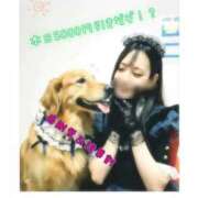 ヒメ日記 2025/11/18 10:10 投稿 しずか 逆電車ごっこ ～GLAMOROUS TRAIN～