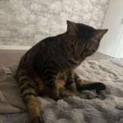 ヒメ日記 2025/11/29 15:50 投稿 しずか 逆電車ごっこ ～GLAMOROUS TRAIN～