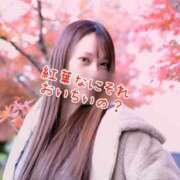 ヒメ日記 2025/12/07 11:50 投稿 しずか 逆電車ごっこ ～GLAMOROUS TRAIN～