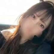 しずか ねれなくてくさあ!!🐱 逆電車ごっこ ~GLAMOROUS TRAIN~