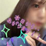 ヒメ日記 2025/12/27 14:57 投稿 しずか 逆電車ごっこ ～GLAMOROUS TRAIN～