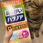 ヒメ日記 2026/03/08 01:50 投稿 しずか 逆電車ごっこ ～GLAMOROUS TRAIN～