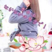 ヒメ日記 2026/03/08 15:10 投稿 しずか 逆電車ごっこ ～GLAMOROUS TRAIN～