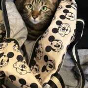 ヒメ日記 2026/03/12 16:50 投稿 しずか 逆電車ごっこ ～GLAMOROUS TRAIN～