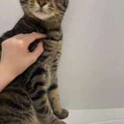 ヒメ日記 2026/03/20 13:10 投稿 しずか 逆電車ごっこ ～GLAMOROUS TRAIN～