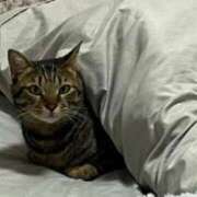 ヒメ日記 2026/03/21 00:10 投稿 しずか 逆電車ごっこ ～GLAMOROUS TRAIN～