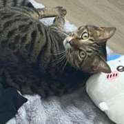 ヒメ日記 2026/04/01 14:40 投稿 しずか 逆電車ごっこ ～GLAMOROUS TRAIN～