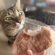 ヒメ日記 2026/04/17 20:07 投稿 しずか 逆電車ごっこ ～GLAMOROUS TRAIN～