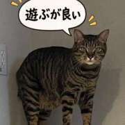 ヒメ日記 2026/10/29 14:56 投稿 しずか 逆電車ごっこ ～GLAMOROUS TRAIN～