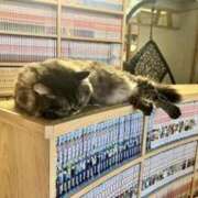 ヒメ日記 2025/02/26 00:09 投稿 渡辺　ゆかり SM東京　新宿店