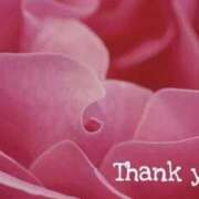 ヒメ日記 2026/03/03 15:28 投稿 ひろこ 熟女の風俗最終章 高崎店