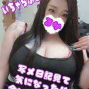 ヒメ日記 2026/06/12 17:23 投稿 るか ダンシングおっぱいTEAM爆