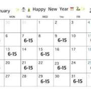 ヒメ日記 2025/01/02 10:54 投稿 ことは みつらん鉄道