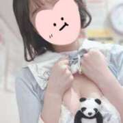 ヒメ日記 2025/01/06 06:24 投稿 ことは みつらん鉄道