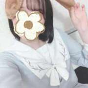 ヒメ日記 2025/03/12 08:14 投稿 ことは みつらん鉄道