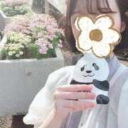 ヒメ日記 2025/04/21 17:34 投稿 ことは みつらん鉄道