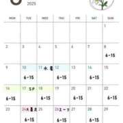 ヒメ日記 2025/06/01 09:24 投稿 ことは みつらん鉄道