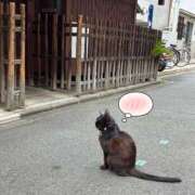 ヒメ日記 2025/06/26 06:14 投稿 ことは みつらん鉄道