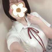 ヒメ日記 2025/07/20 06:14 投稿 ことは みつらん鉄道