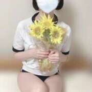 ヒメ日記 2025/09/12 21:38 投稿 ことは みつらん鉄道