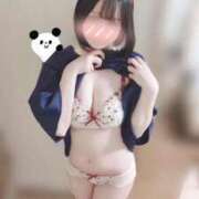 ヒメ日記 2025/10/30 23:14 投稿 ことは みつらん鉄道