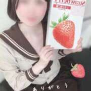 ヒメ日記 2026/02/12 17:47 投稿 ことは みつらん鉄道