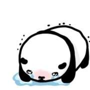 ヒメ日記 2026/03/18 05:39 投稿 ことは みつらん鉄道