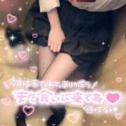 ヒメ日記 2025/09/06 17:04 投稿 ねむ ハンドキャンパス新宿